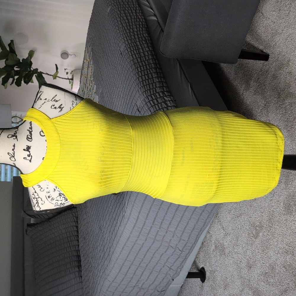 Bebe Ribbed Mock Turtleneck Dress